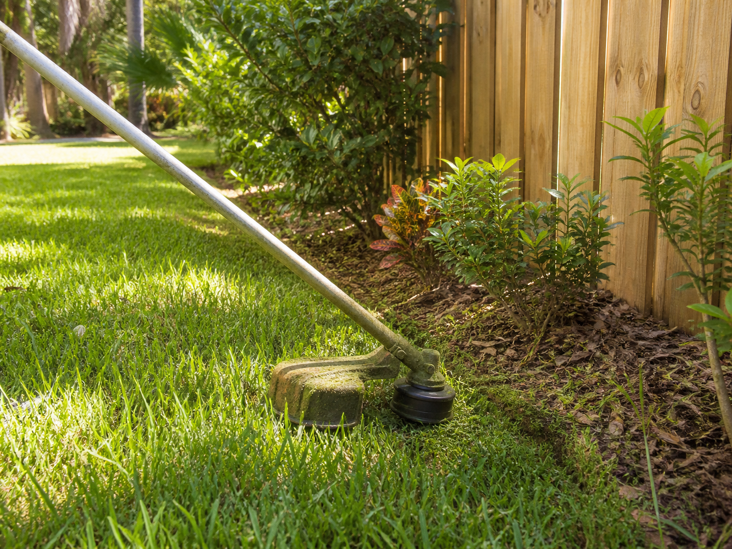 String trimmer cleaning the edge of a lawn
